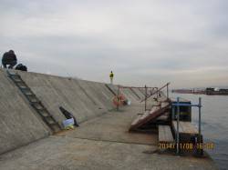 武庫川一文字　49㎝オーバーのチヌ狙いで行…